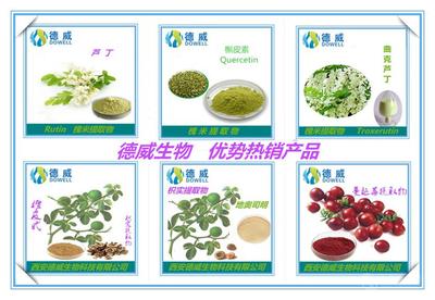 番瀉葉提取物 功效、市場價格與西安產業概況